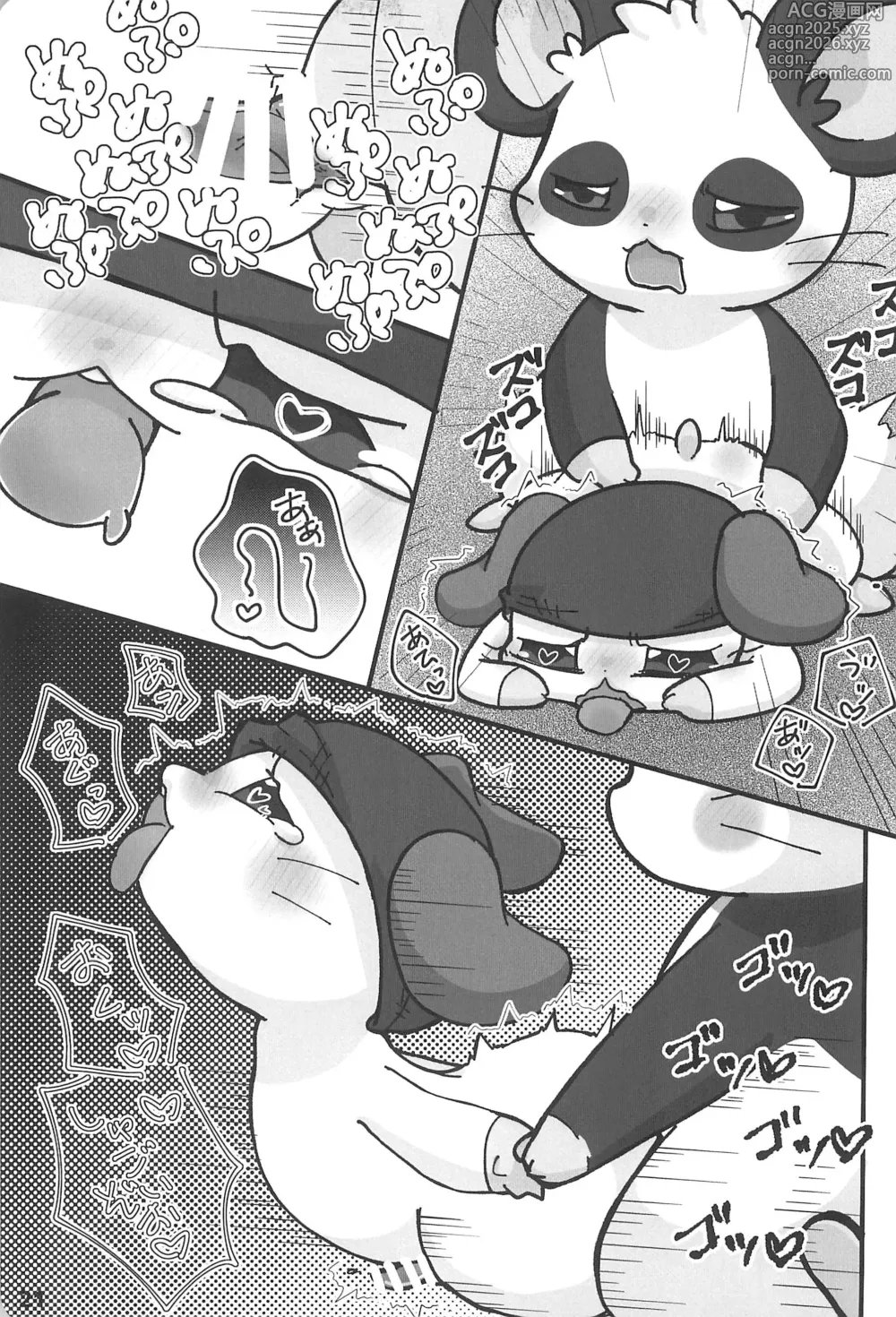 Page 23 of doujinshi Motto xx Oshiete! Panda-kun