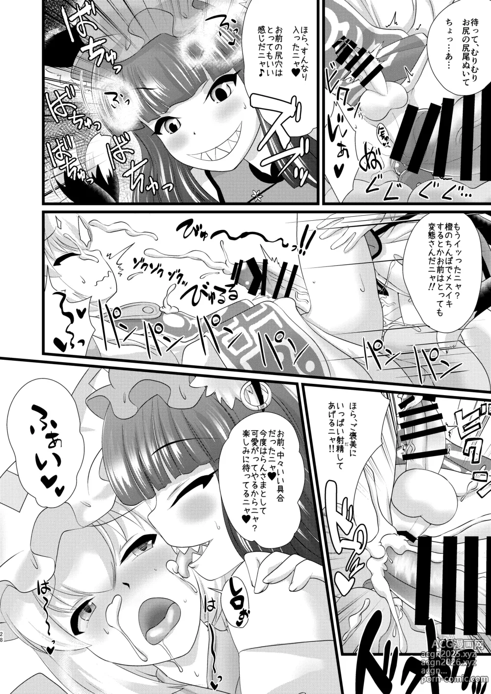 Page 27 of doujinshi Josou Shumi no Boku ga Kondo wa Futanari Chen-chan ni Okasareru Hon