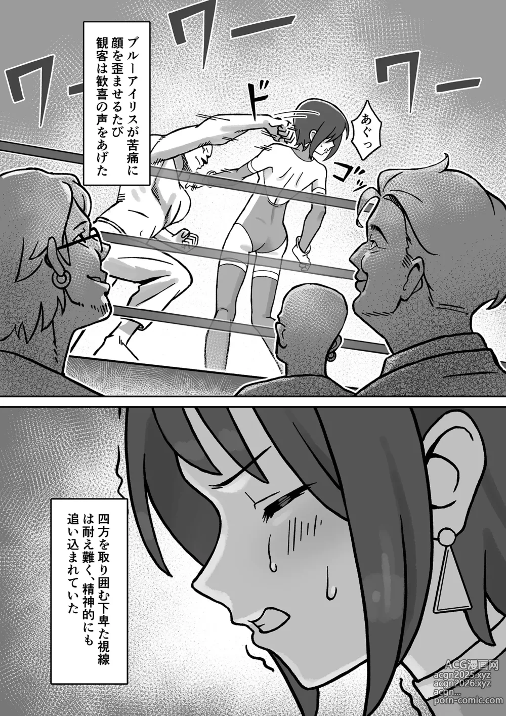 Page 11 of doujinshi Seiki Tensho Blue Iris