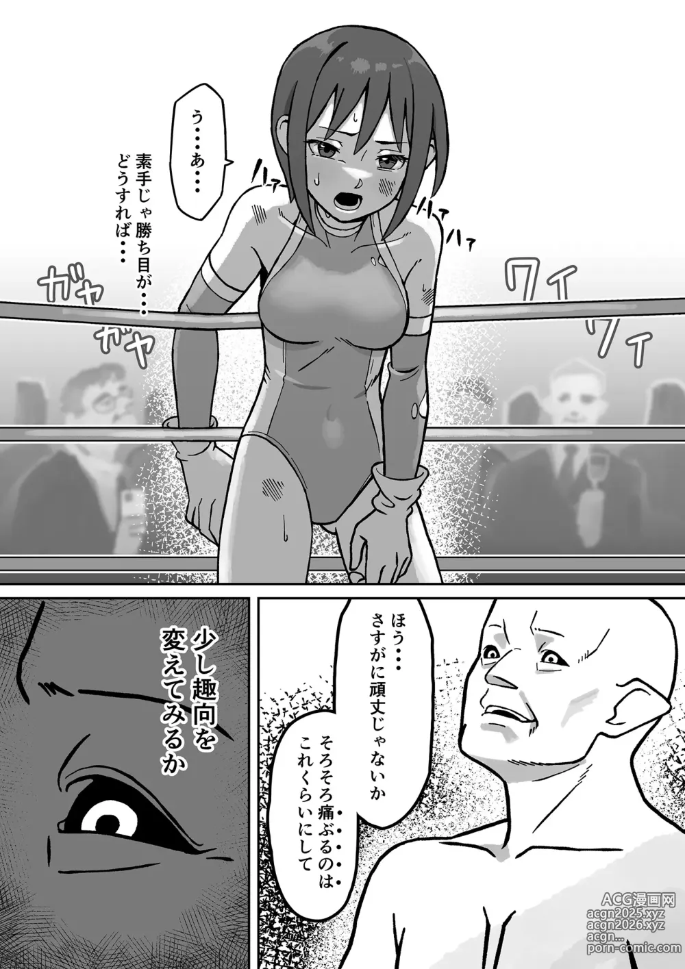 Page 14 of doujinshi Seiki Tensho Blue Iris