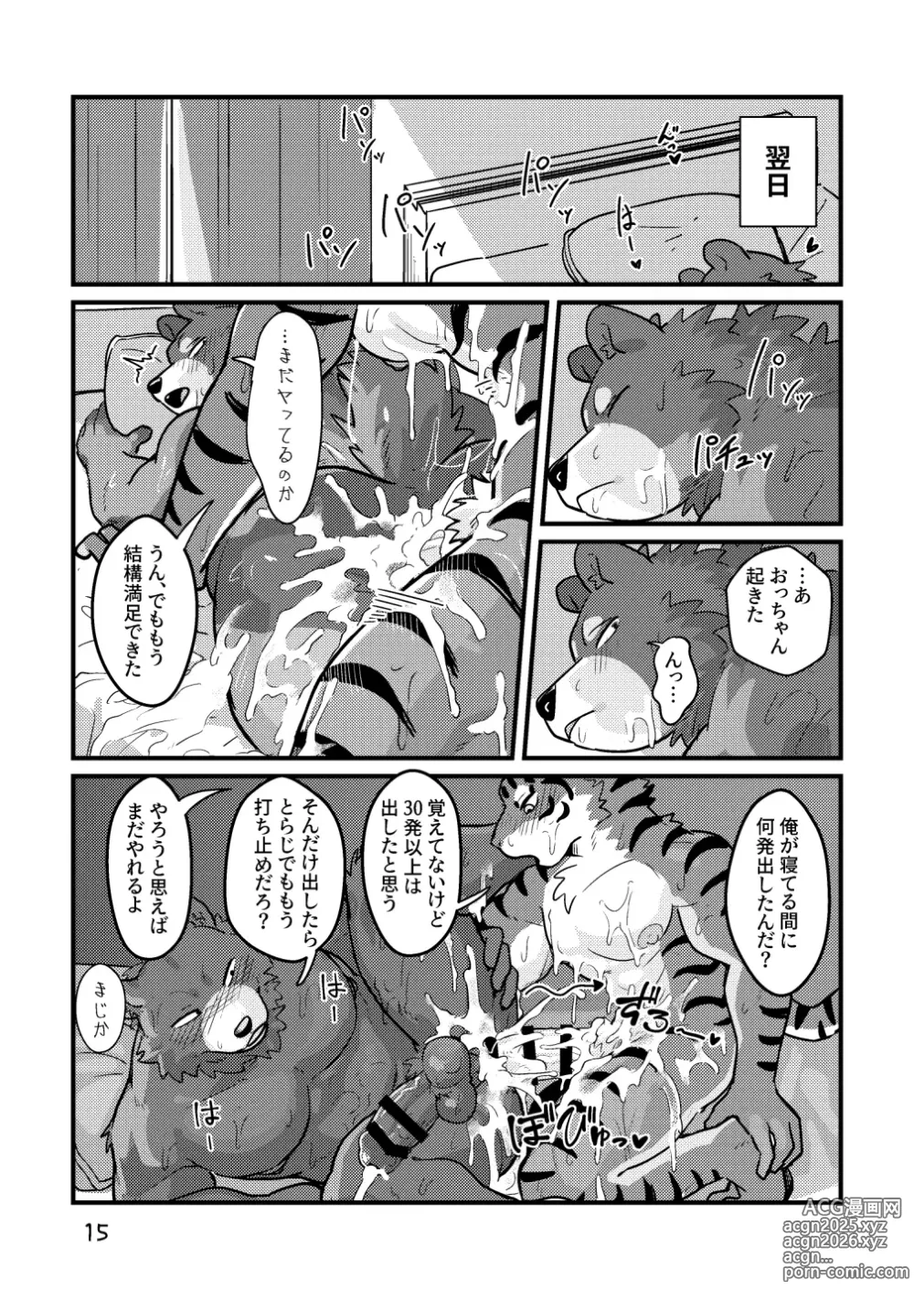 Page 15 of doujinshi Reversible Anthology