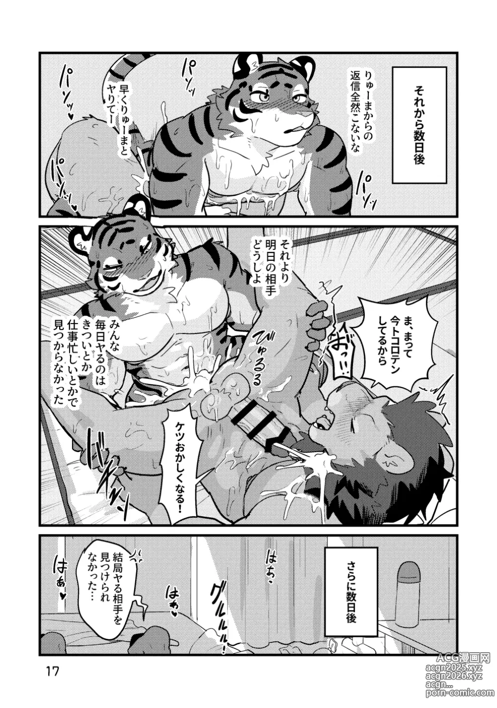 Page 17 of doujinshi Reversible Anthology