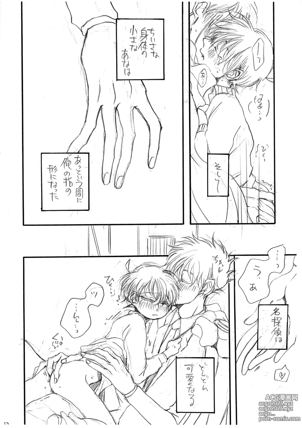 Page 13 of doujinshi Hikari no Umi no Makkurayami