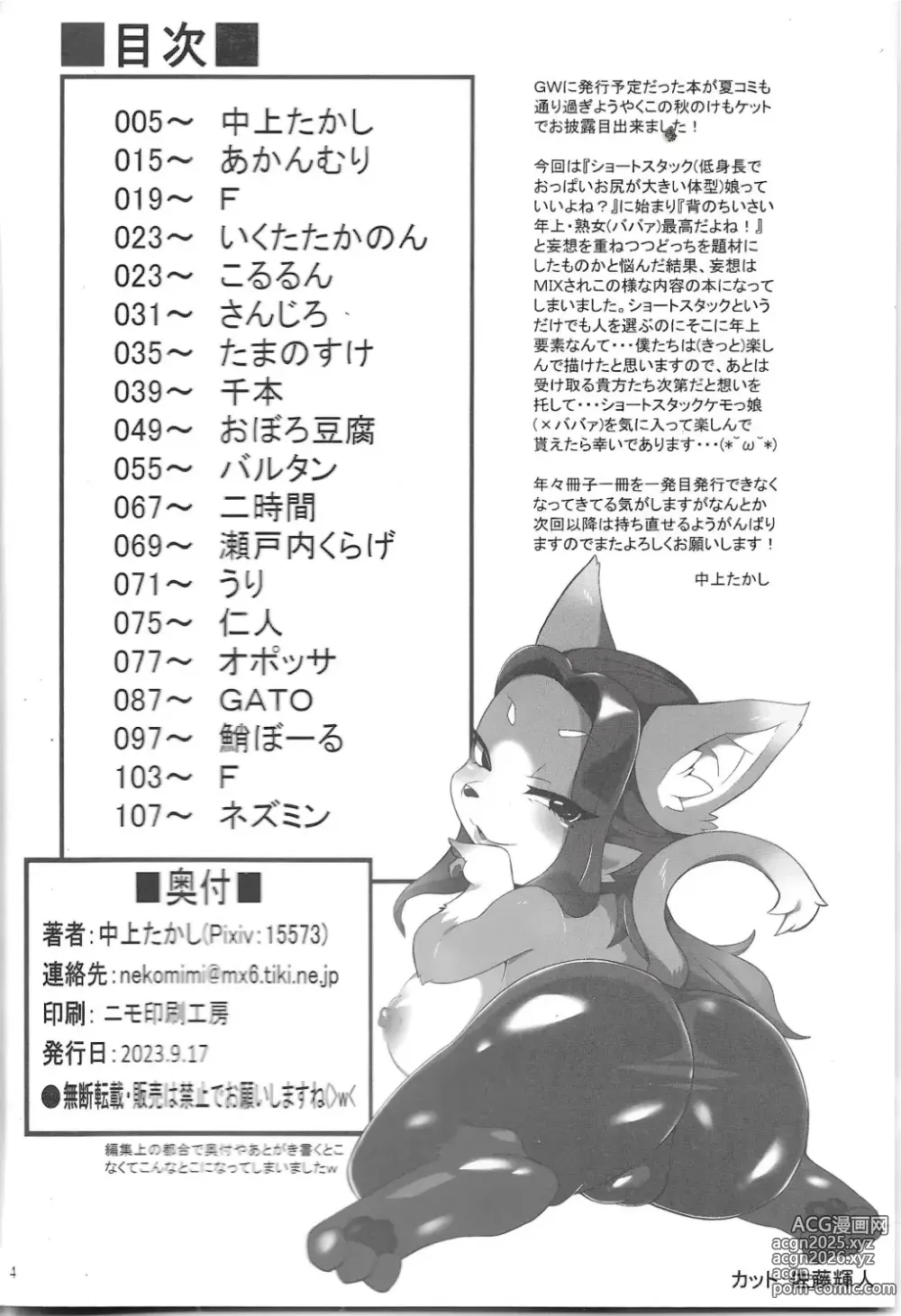 Page 3 of doujinshi Chiisakute Okkii