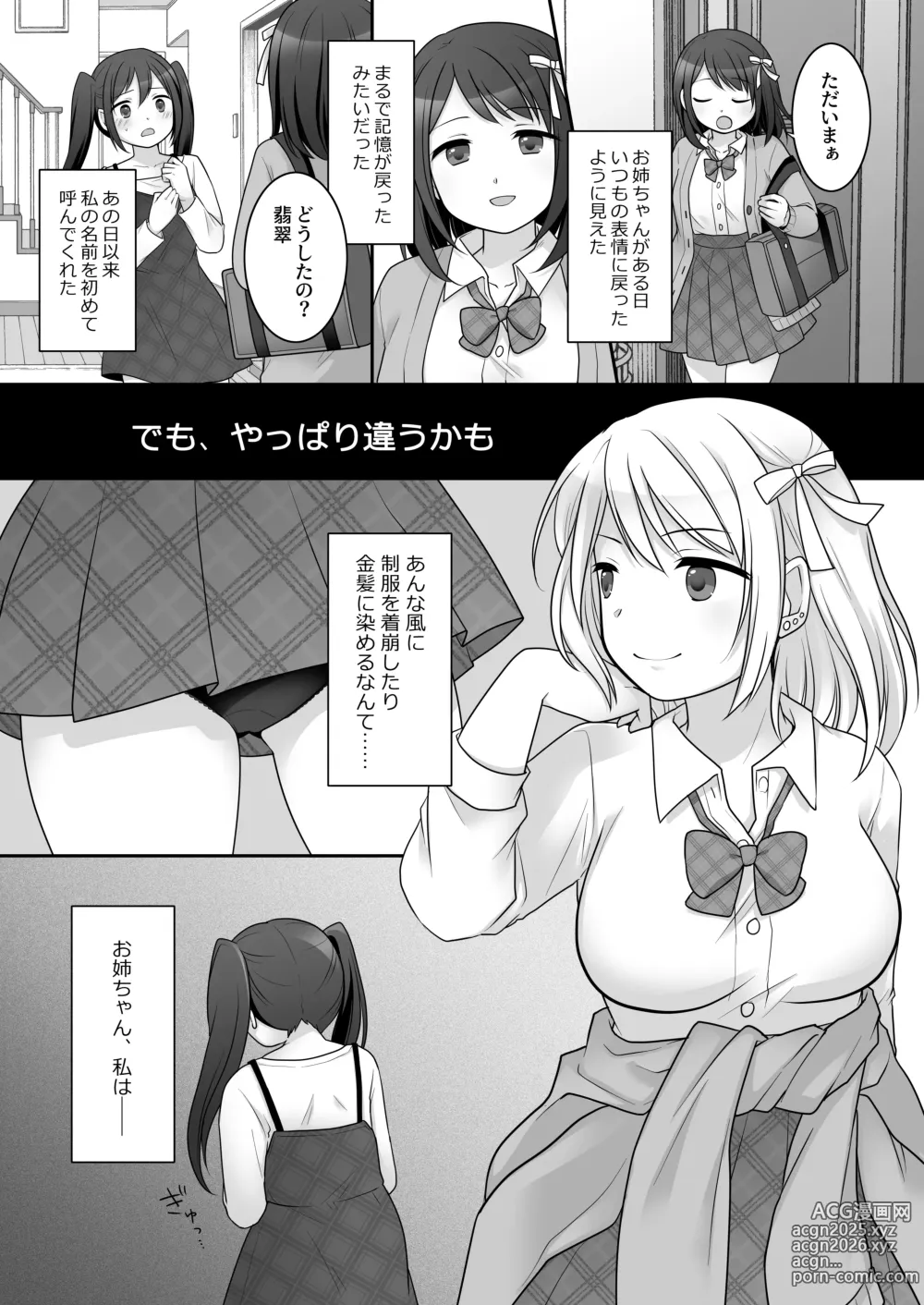 Page 3 of doujinshi Furyou in Kanojo Bangaihen ~Ane no Karada ga Furyou ni Nottoraremashita~