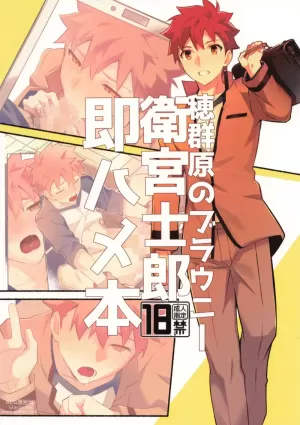 Homurabara no Brownie Emiya Shirou Soku Hame Hon