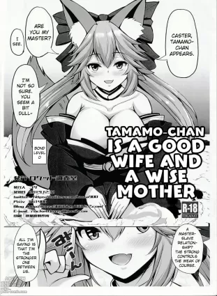 Tamamo-chan wa ryōsaikenbodesu mono | Tamamo-chan is a Good Wife and a Wise Mother