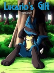 Lucario’s Gift (Pokemon)