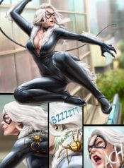 The Superior Blackcat!?